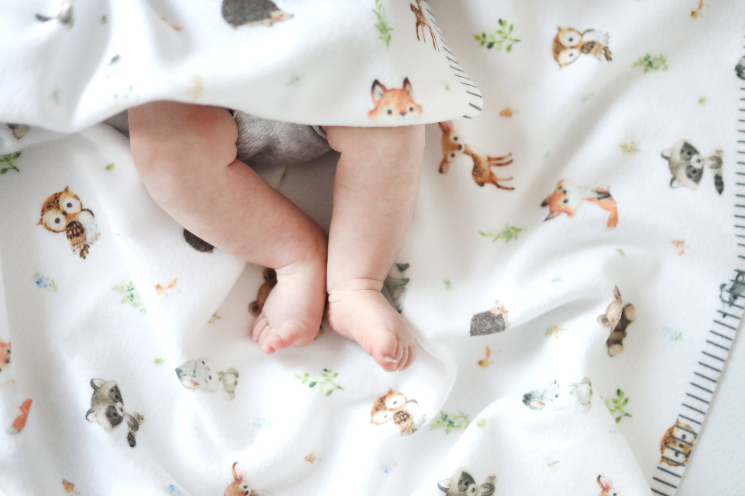 Woodland Animals Baby Blanket